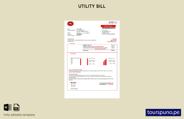 Lista para imprimir plantilla de factura de servicios públicos de EDP Energia Es